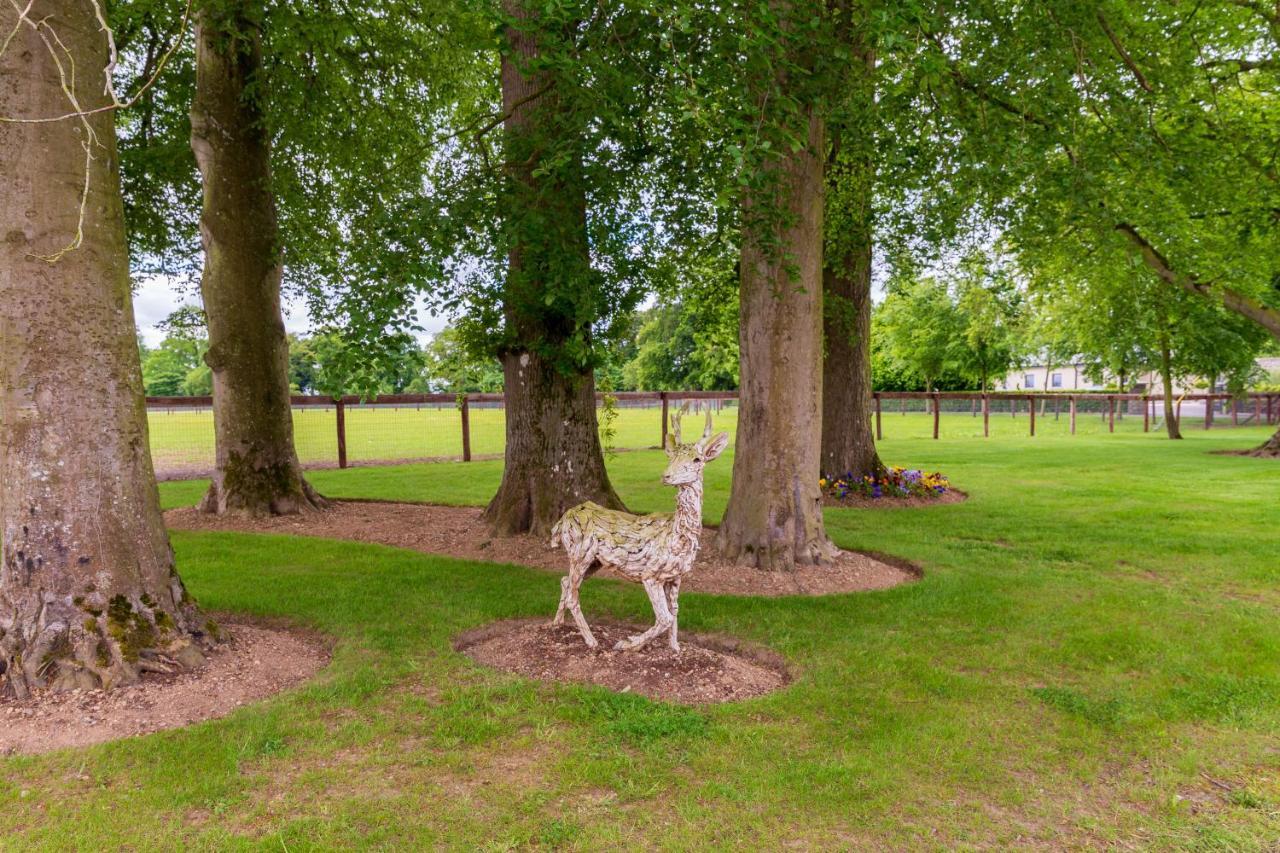 Bective Stud Apartments Navan Dış mekan fotoğraf