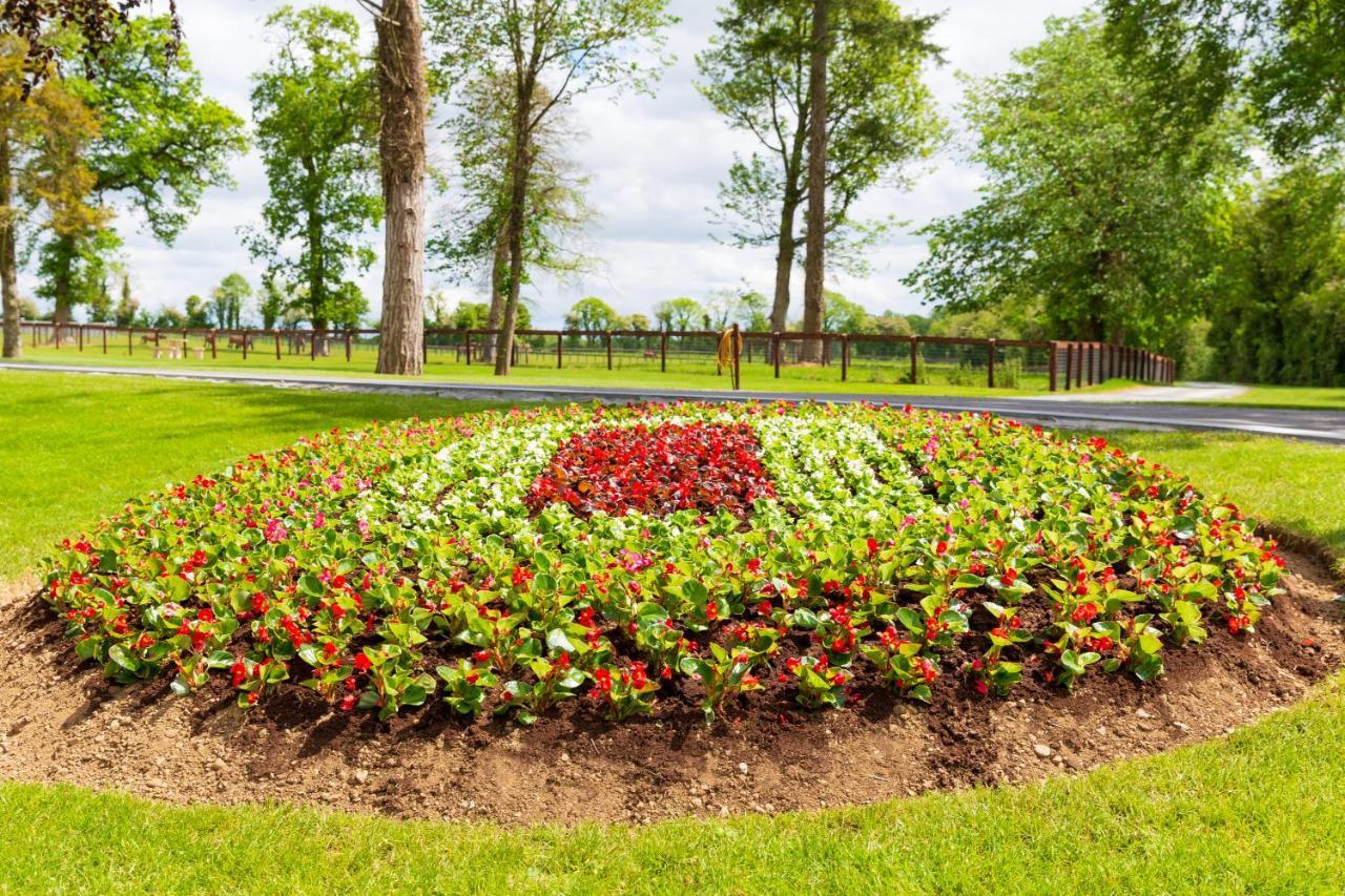 Bective Stud Apartments Navan Dış mekan fotoğraf